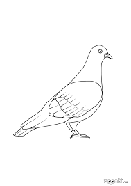 Printable drawings and coloring pages. Colouring Pages For Kids Birds Zoonki Com