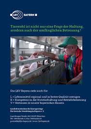 Erster Tierhaltungsbericht Schwein