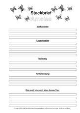Steckbriefe sind in gewisser weise verkürzte formen von personenbeschreibungen. Tiersteckbrief In Der Grundschule Steckbriefe Tiere Sachthemen Hus Klasse 3 Grundschulmaterial De