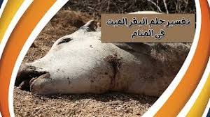 Maybe you would like to learn more about one of these? ØªÙØ³ÙŠØ± Ø­Ù„Ù… Ø§Ù„Ø¨Ù‚Ø± Ø§Ù„Ù…ÙŠØª ØªÙØ³ÙŠØ± Ø­Ù„Ù… Ù…ÙˆØª Ø§Ù„Ø¨Ù‚Ø±Ø© Ø­Ù„Ù… Ø§Ù„Ø¨Ù‚Ø± Ø§Ù„ÙƒØ«ÙŠØ± Ù‚Ø·ÙŠØ¹ Ø§Ù„Ø¨Ù‚Ø± ÙÙŠ Ø§Ù„Ù…Ù†Ø§Ù…