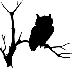 Transparent Bird On Branch Silhouette Owl Clip Art Shop Entertainment Kaboodle Owl Silhouette Silhouette Art Owl Clip Art