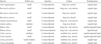 Image result for Aspilia mendoncae