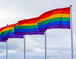 En el marco del mes del orgullo lgbt, destacamos el papel de ocho modelos trans alrededor del mundo, que con su talento innato han logrado marcar. Lideres Locales Muestran Su Apoyo Al Mes Del Orgullo Lgbtq Montgomery Community Media