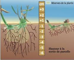 Seconde le sol un patrimoine durable. Activite 3 Les Sols Une Ressource Fragile Site Des Sciences Au Lycee Chrestien De Troyes