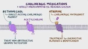 Image result for Cholinergic Toxicity