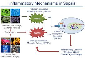 Sepsis is a medical emergency. Cytosorb Cytosorbents