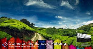 Cameron highlands resort, tanah rata. Cameron Highland Percutian Hebat Di Pahang Tempat Menarik