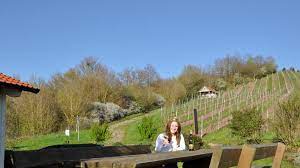 Bei uns erhalten sie keine automatisierte auswertung. Bewirtung In Den Ipsheimer Weinbergen Ipsheim Nordbayern De