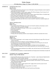 pr executive resume samples velvet jobs