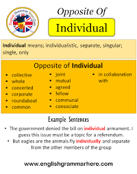 Separate and opposite are semantically related. Opposite Of Individual Antonyms Of Individual Meaning And Example Sentences English Grammar Here