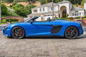 Image result for Ara Blue Crystal 2023 R8