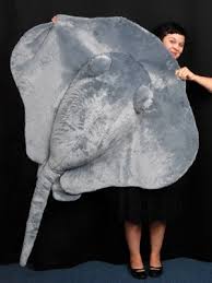 Jumbo Realistic Stingray Zoo Animals Stingray Majestic Sea Flap Flap