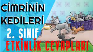 cimrinin kedileri etkinlik cevaplari 2 sinif youtube
