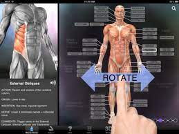 Discover the top 100 best anatomy and physiology apps for ios free and paid. Ipad Muscle Bone Anatomy 3d App Human Anatomy And Physiology Human Anatomy Anatomy And Physiology