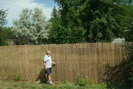 We Put Rolls Of Split Bamboo Fencing Over Our Short Chain Link Fence We Attached With Black Zip Ti Bamboo Fence Chain Link Fence Bamboo Fence Over Chain Link
