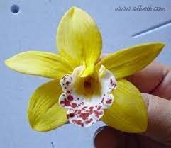 Sifbeth Cymbidium Orchid Tutorial Floralilies Zucker Seite Sugar Flowers Tutorial Fondant Flowers Sugar Flowers