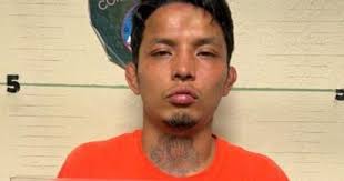 MMA fighter Roman Alvarez's attempted murder case dismissed without  prejudice