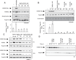 Other side effects include weight gain, swelling, high blood sugar, increased risk of infection, and psychosis. Prominent Action Of Butyrate Over B Hydroxybutyrate As Histone Deacetylase Inhibitor Transcriptional Modulator And Anti Inflammatory Molecule Scientific Reports