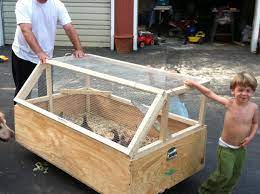 Our Chicken Setup Chicken Brooder Chicken Cages Chicken Coop