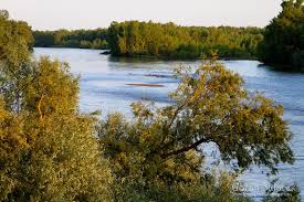 The sighting allegedly occurred near the city of vichy, france and involved an anonymous witness. Living Allier Saved From Damming World Rivers