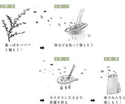 オリーブ茶を簡単に作ろう きれいなものを みつけに ー小豆島ガールー