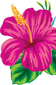 Epingle Sur Fleurs Et Fruits