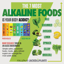 alkaline diet for herpes herpes cant survive anymore