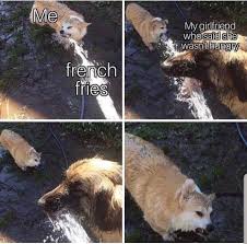 Can I Have One Please Memebase Funny Memes