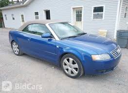 Image result for Caribic Blue 2004 Audi