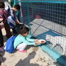 Haykonfed Hayvanlarin Yasam Haklari Konfederasyonu Burdur 4 Ekim Dunya Hayvanlari Koruma Gunu