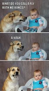 Dad Joke Dog Meowoof Dog Jokes Funny Puns Funny Animal Memes