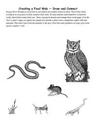 Fundamentally the food chain is the sequence of organisms where the transfer of matter and energy takes place in the form of food from organism to organism. Pin By Pamela Cookingham On Cc Cycle 2 Food Chain Food Web Homeschool Science