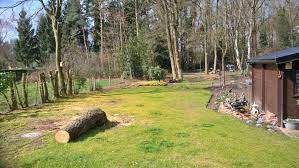 de bedoeling was eerst om de boomstam te verzagen als zitbank in de tuin maar er ontsproot mij later het idee om hem uit te kappen e waterpartij boomstam tuin