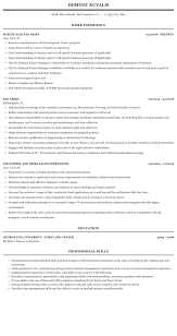 sap ariba resume sample mintresume