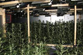 We did not find results for: 112 Meldingen En 112 Nieuws In Venlo Noord Oozo Nl