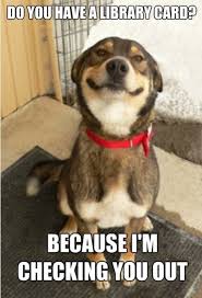 20 Flirty Memes For When You Re Feeling Too Shy Sayingimages Com Funny Saturday Memes Funny Dog Memes Happy Memes