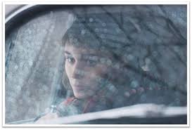 Mr.Ink: Diario di una dipendenza: Recensione a basso costo [libro e film]:  Carol, di Patricia Highsmith