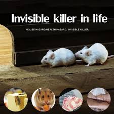 Understanding the pest factors in pest analysis. Pest Reject Pro Electronic Repeller Enhanced Version Killer Mouse Fly Kille Shopee Philippines