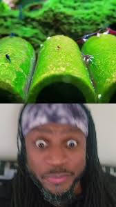 #duet with @shrimplybeautiful who sezy I'm sezy #🤣🤣🤣 #ocean #shrimp  #dance #getit #happy #fun #dancelife #fyp #deboww35 #food