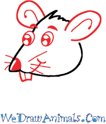 More information about the rat park drug addiction experiments: How To Draw A Cartoon Rat