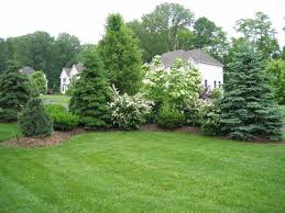 Landscape Design Construction Parker Homescape Evergreen Landscape Front Yard Evergreen Landscape Privacy Landscaping