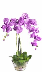 Para ampliar las imágenes para imprimir o descargar haga click en los dibujos de orquideas dibujos para colorear. Foto Animada Flower Vase Arrangements Orchid Arrangements Silk Orchids Arrangements