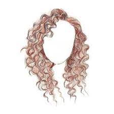 3 Hairstyles You Ll Love To Draw Curly Hair Drawing Hair Illustration How To Draw Hair