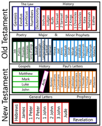 blair kasfeldt divisions of the new testament bible how