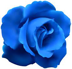 Blue Rose Clip Art Png Image Clip Art Red Roses Flower Art