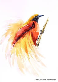 Watercolor Bird Of Paradise Png Bird Of Paradise Painting Bird Watercolor Painting Bird Art Watercolor Art Print Size 8x10 Inc Bird Watercolor Paintings Paradise Painting Watercolor Bird