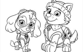 Search through 623,989 free printable colorings at getcolorings. Pin By Coloring Fun On Paw Patrol Paw Patrol Coloring Pages Paw Patrol Coloring Halloween Coloring Pages