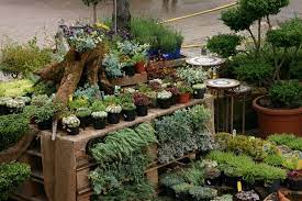Gemüse und obst wurde von mir behutsam geerntet und mit liebe weiterverarbeitet. Gartenparadies Gartenparadies Pfettscher