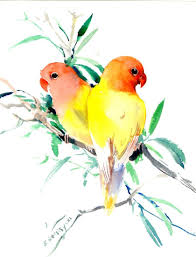 Yellow Lovebirds Yellow Lovebird Art Two Birds Original Watercolor Painting 14 X 11 In Lovebirds Art Love Birds Original Watercolor Painting