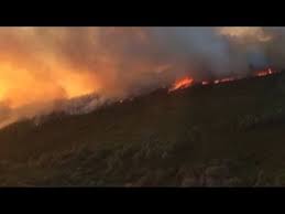 See more of incendio on facebook. Un Incendio Forestal Afectaba Hoy Una Zona Urbana En La Region Central De Toscana En Italia Youtube